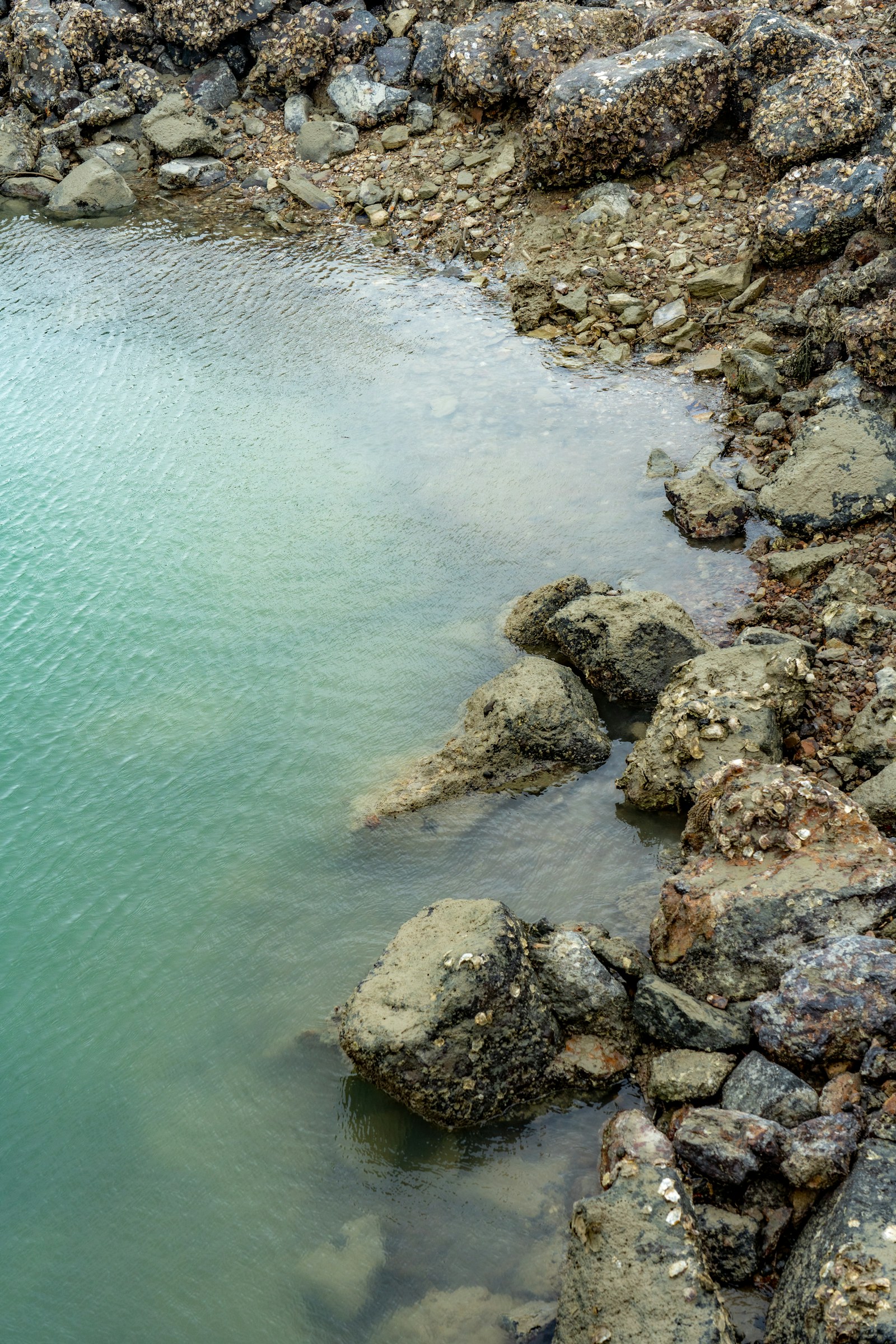 Costa rocosa y agua azul en Waiheke Island